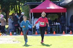 5-10km-337